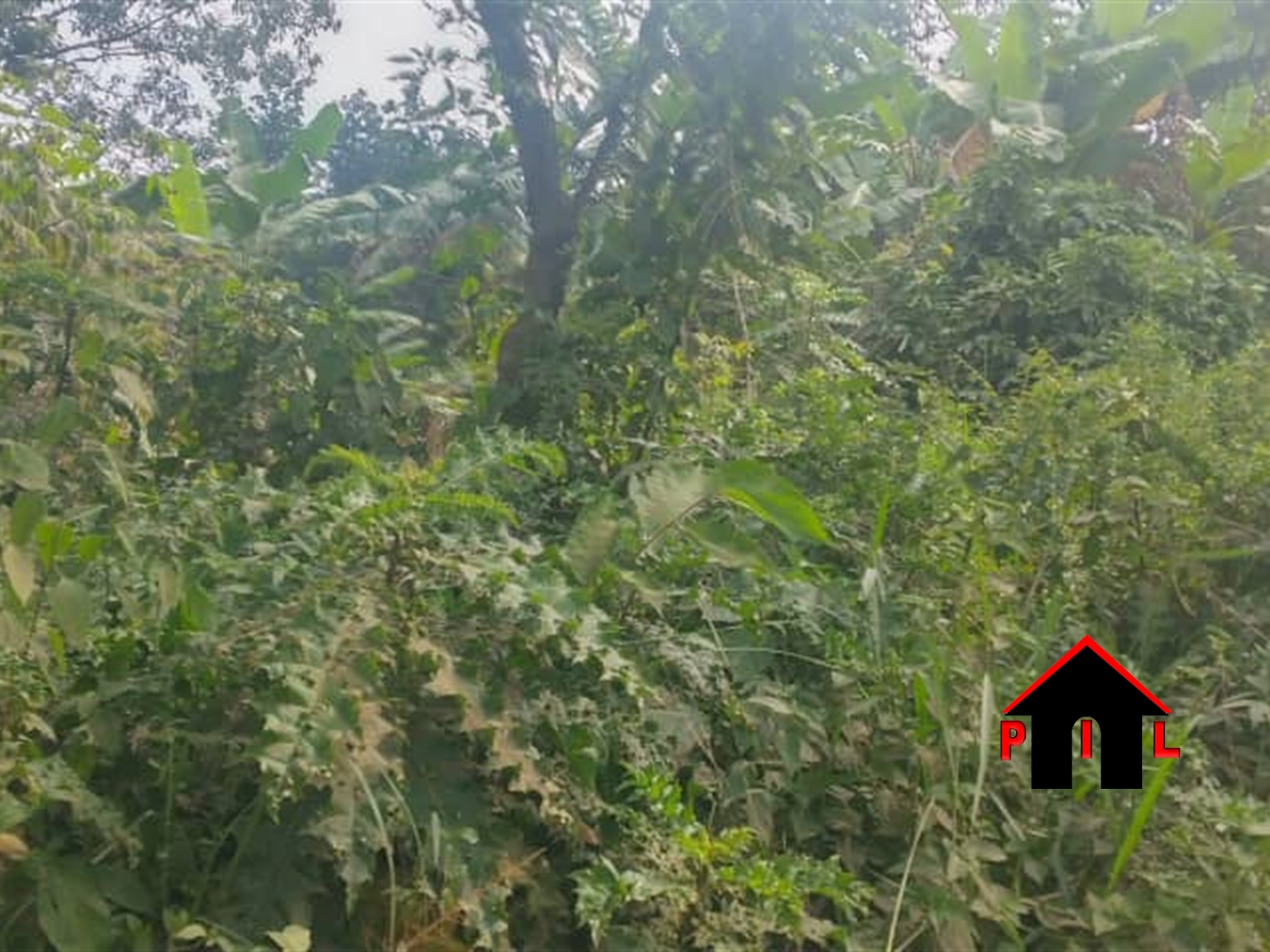 Agricultural Land for sale in Buwooya Mukono