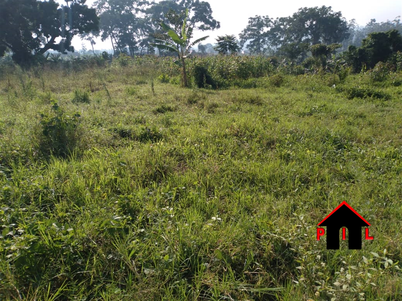 Residential Land for sale in Buwaaga Wakiso