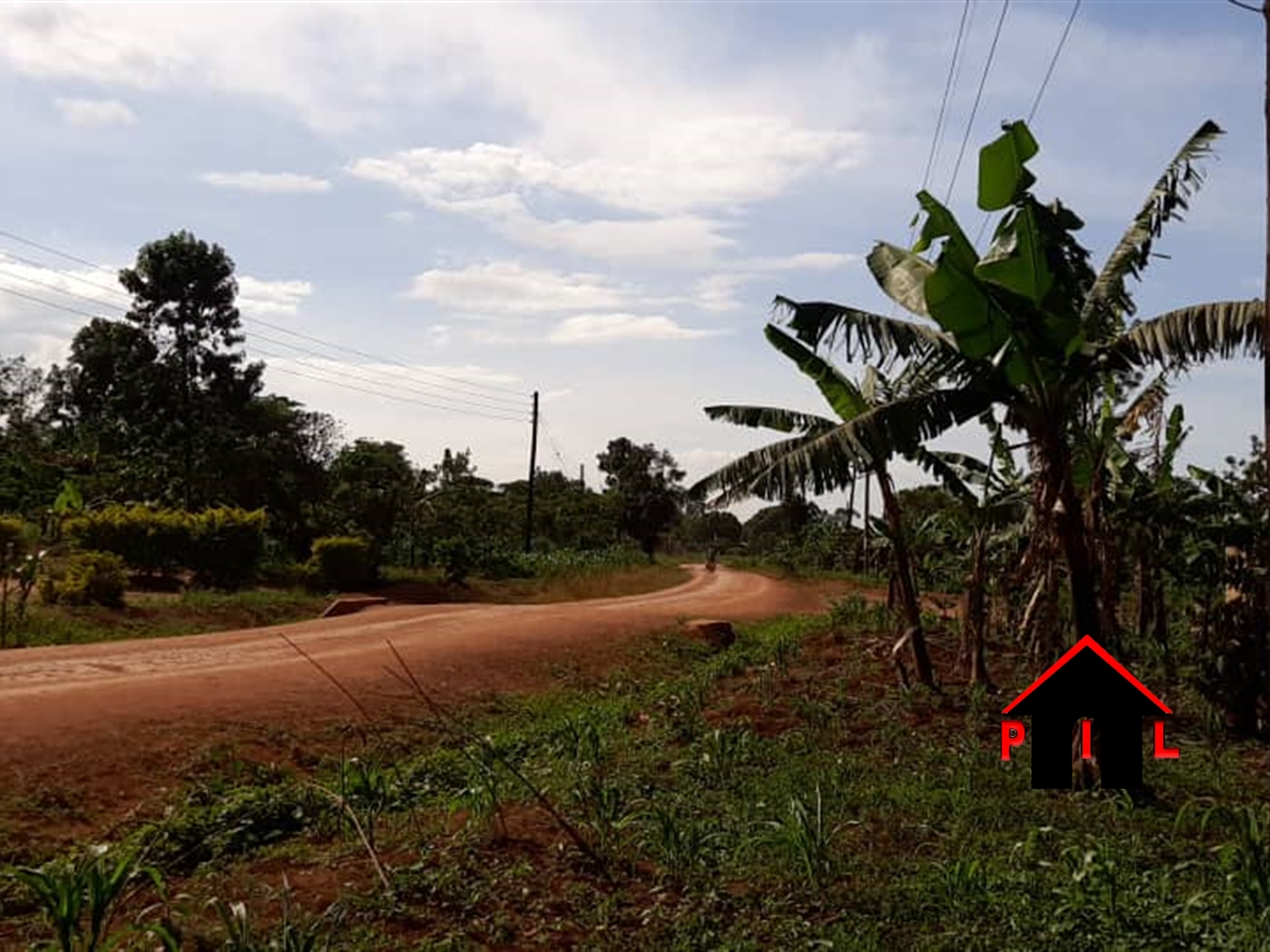 Agricultural Land for sale in Kyanamugera Mityana