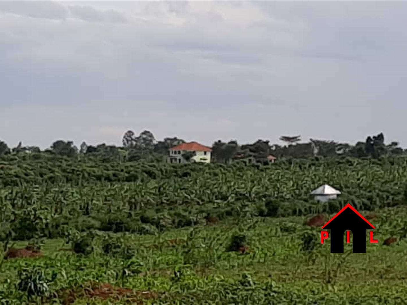 Agricultural Land for sale in Kyanamugera Mityana