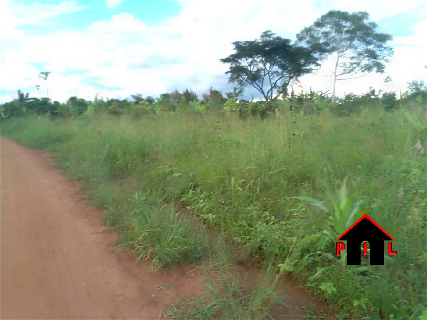 Agricultural Land for sale in Lumpewe Nakaseke