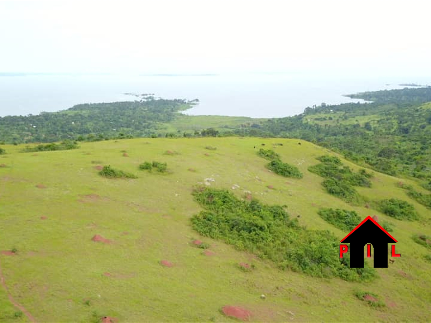Agricultural Land for sale in Mbazi Mukono