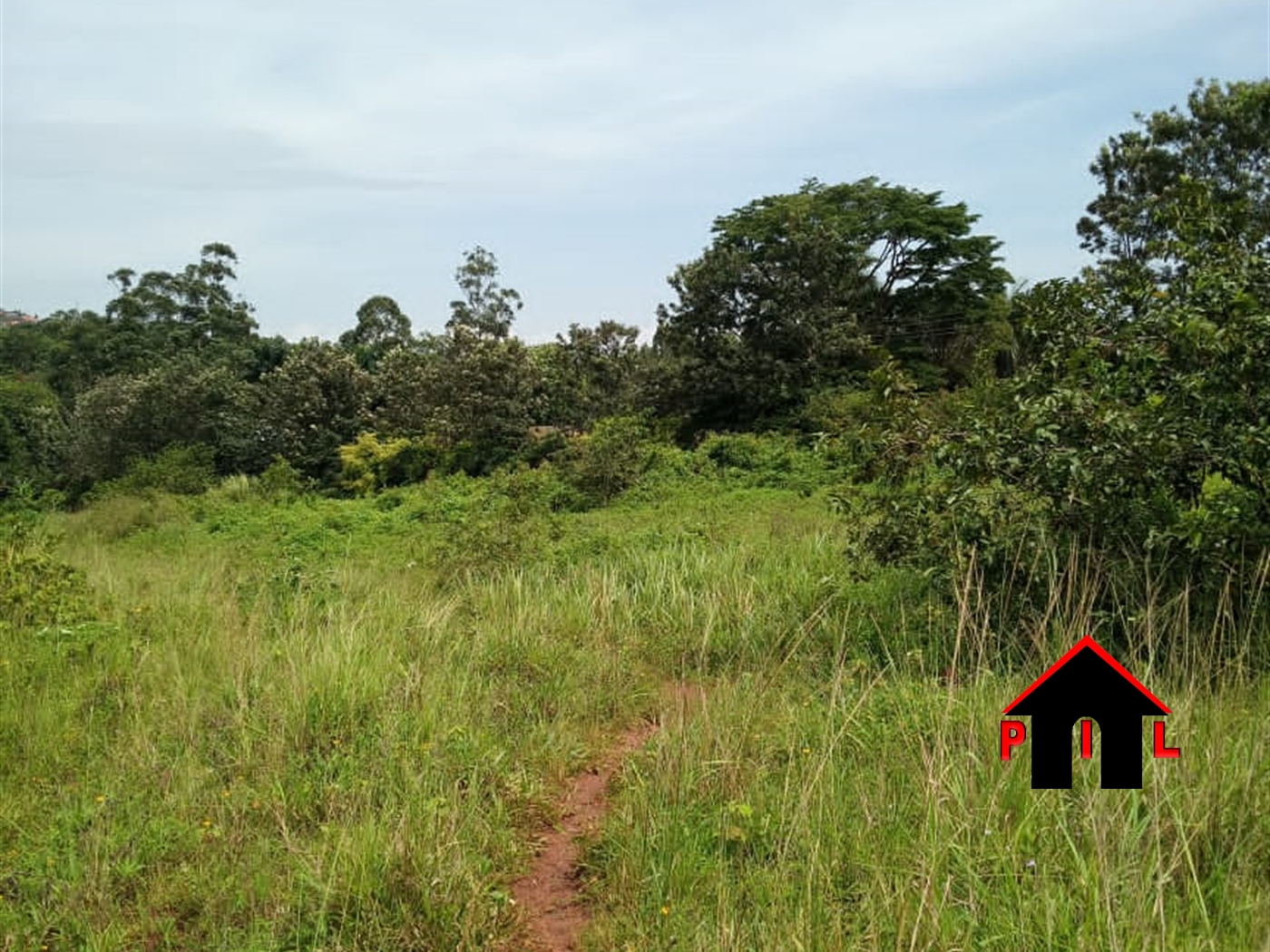 Agricultural Land for sale in Bembe Wakiso
