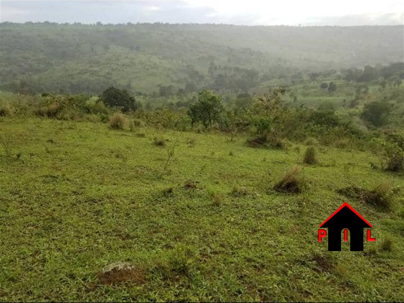 Agricultural Land for sale in Wakyato Luweero