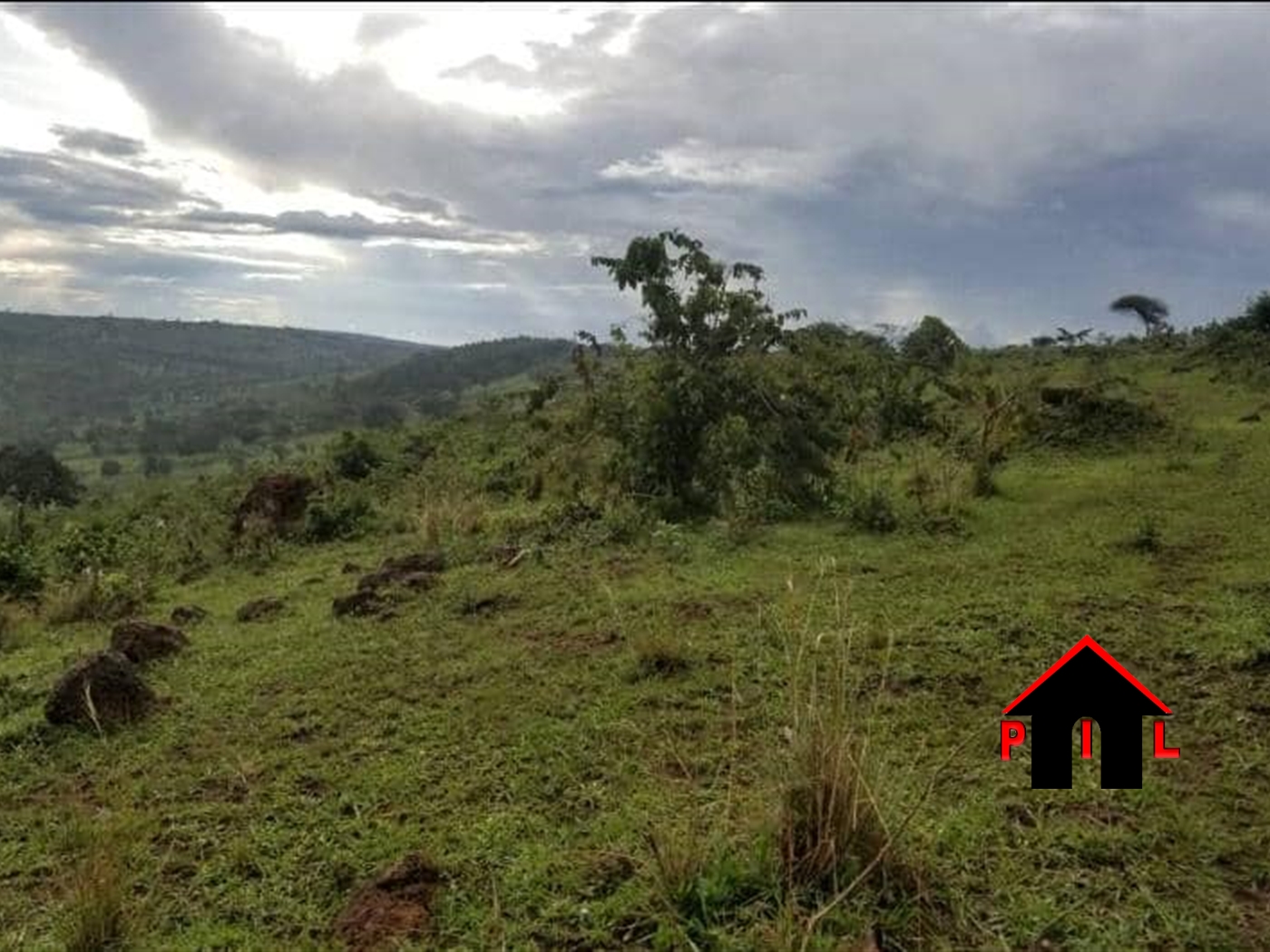 Agricultural Land for sale in Wakyato Luweero