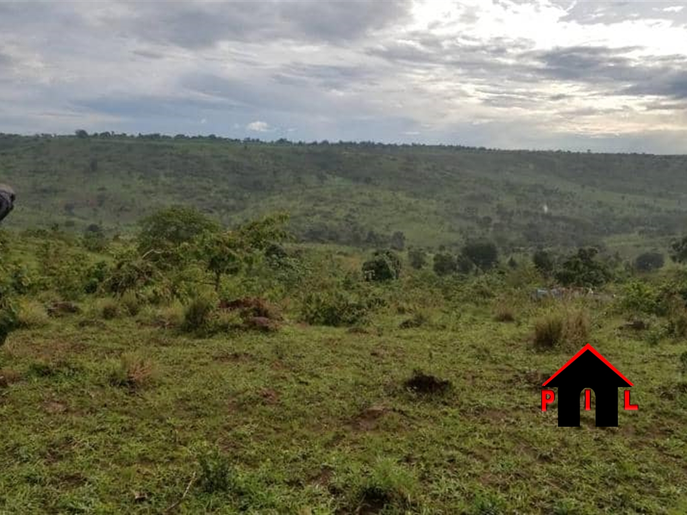 Agricultural Land for sale in Wakyato Luweero