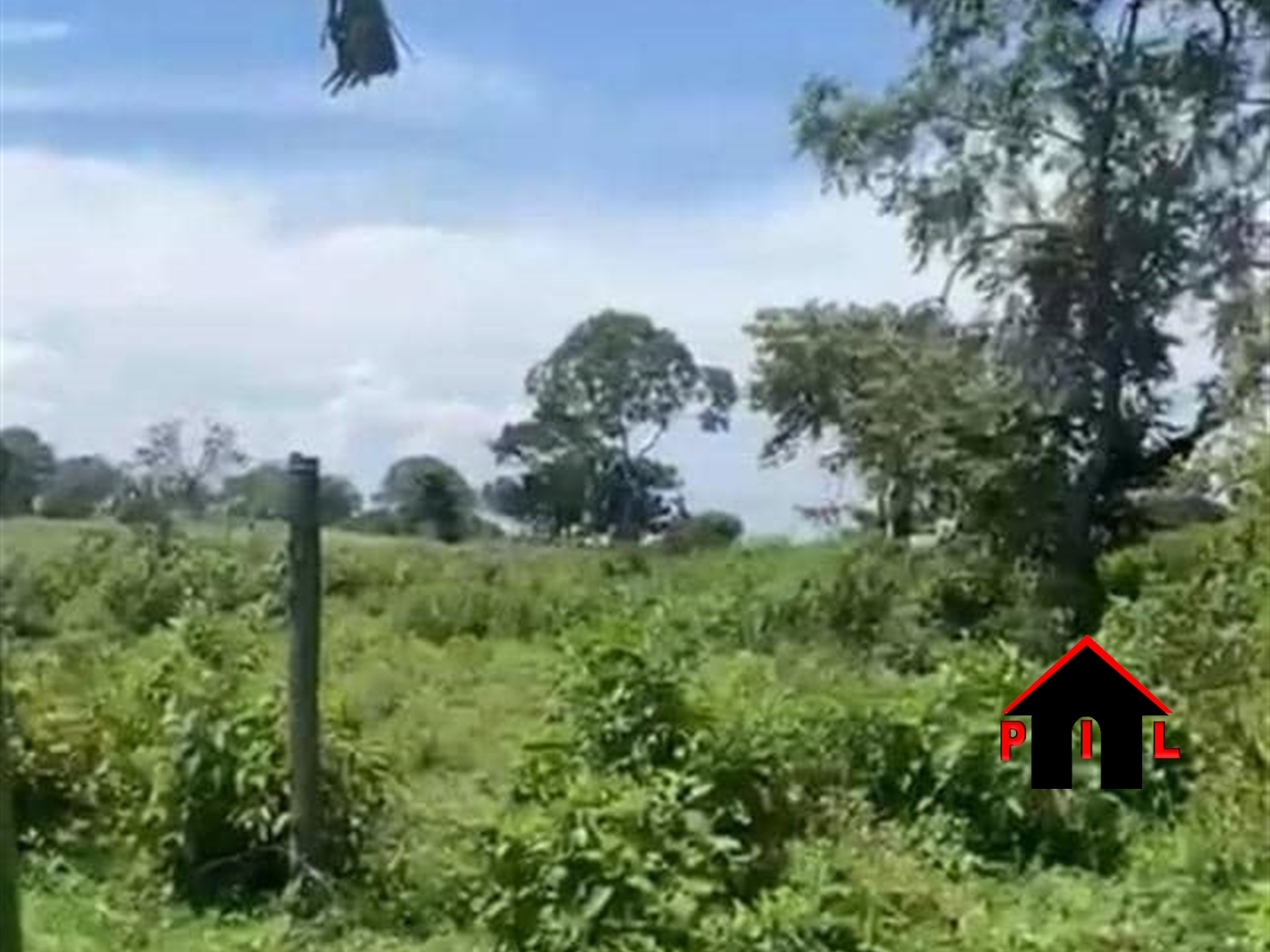 Agricultural Land for sale in Ssanga Wakiso