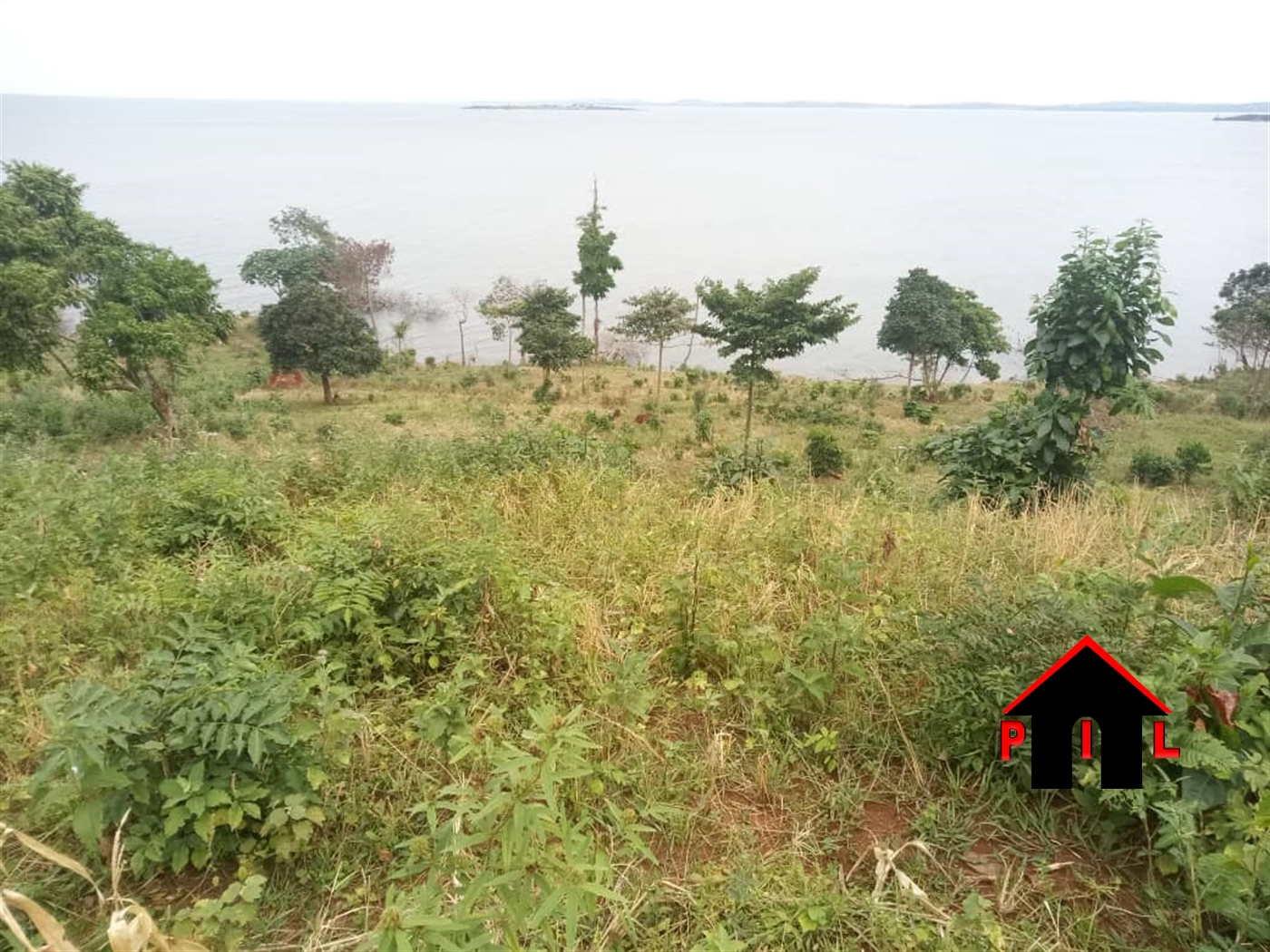 Agricultural Land for sale in Kisigula Buyikwe