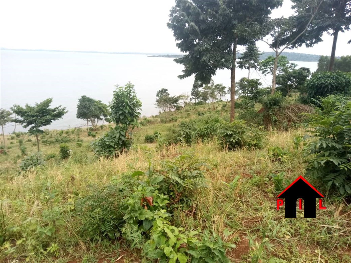 Agricultural Land for sale in Kisigula Buyikwe