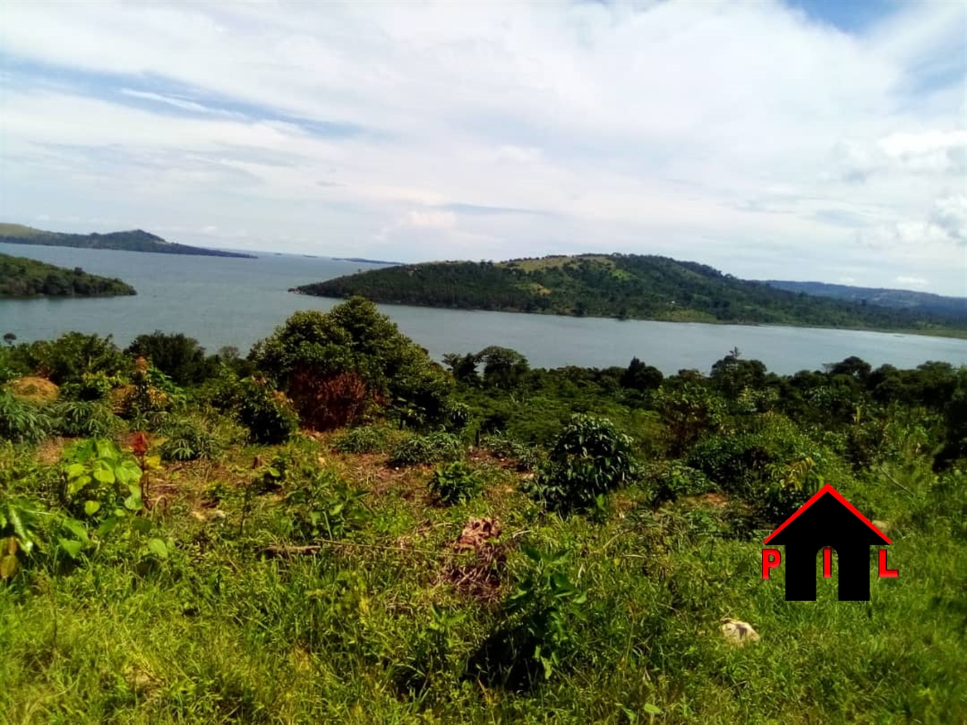 Agricultural Land for sale in Muvo Luweero