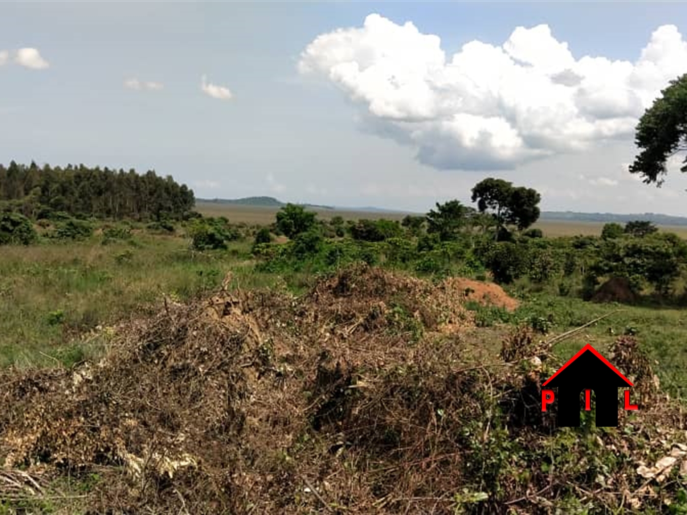 Agricultural Land for sale in Kasengejje Wakiso
