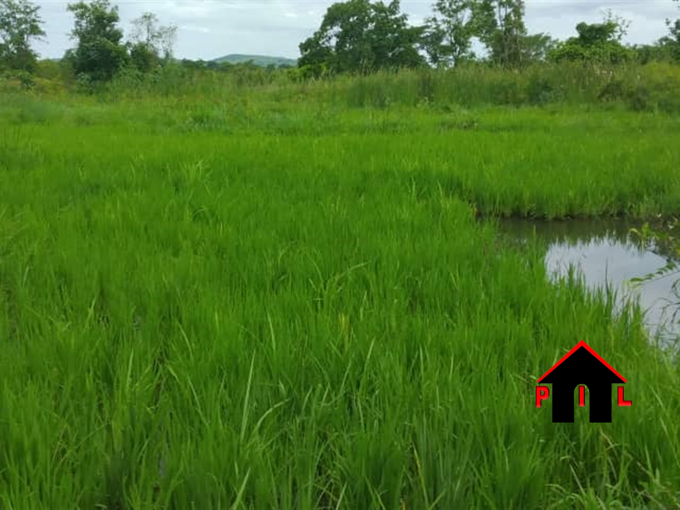 Agricultural Land for sale in Nnassuuna Kiboga