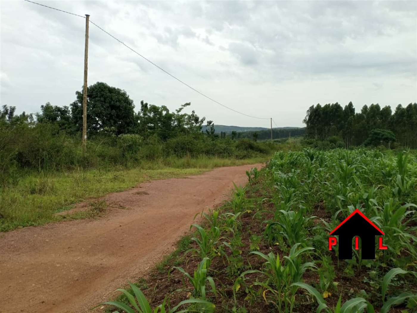 Agricultural Land for sale in Wobulenzi Luweero