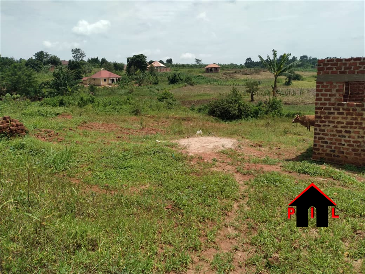 Residential Land for sale in Namulonge Wakiso