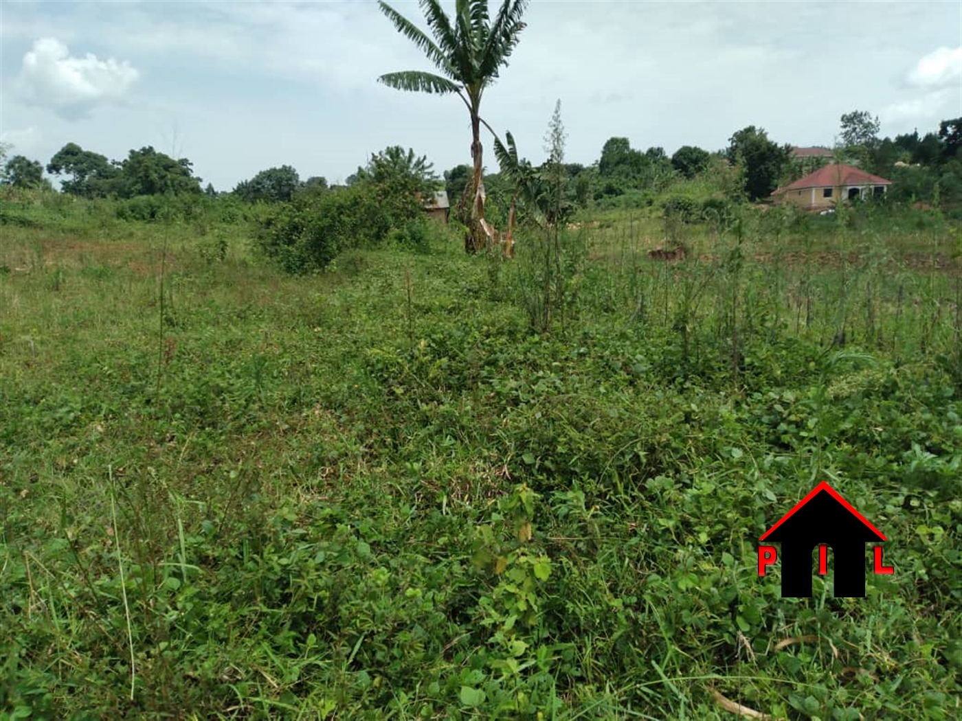 Residential Land for sale in Namulonge Wakiso