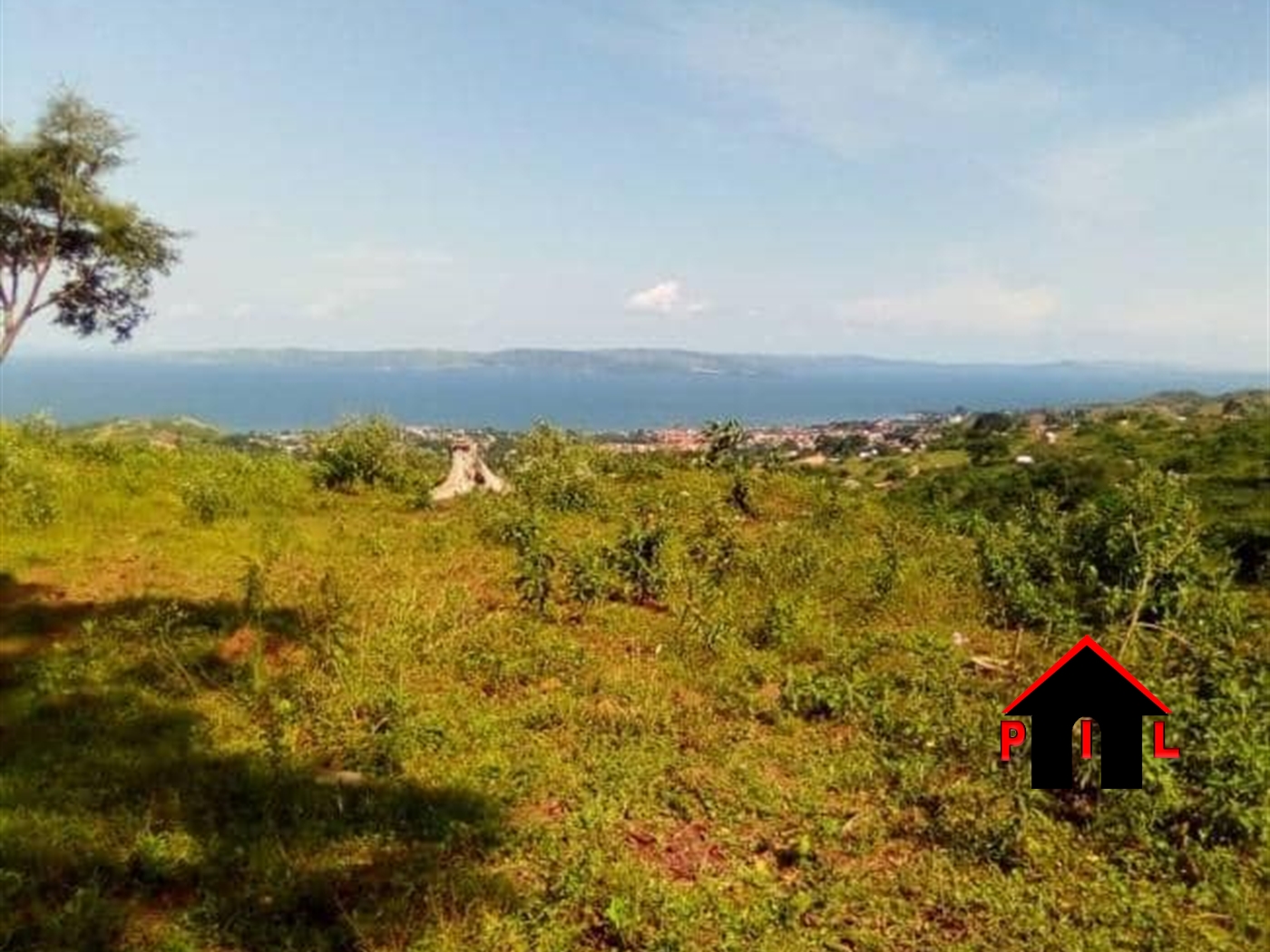 Agricultural Land for sale in Lukalu Buyikwe