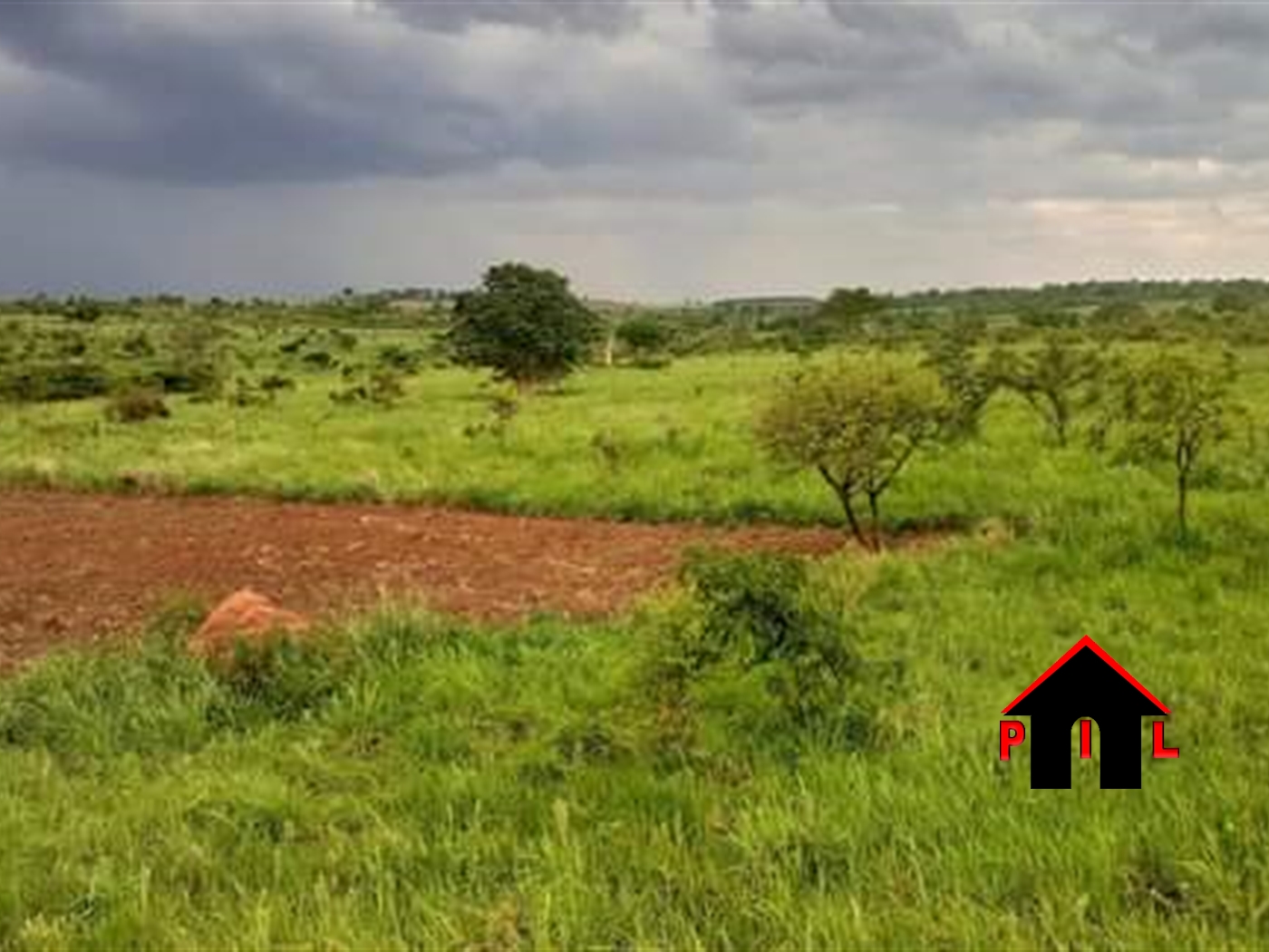 Agricultural Land for sale in Kigarama Kiruhura