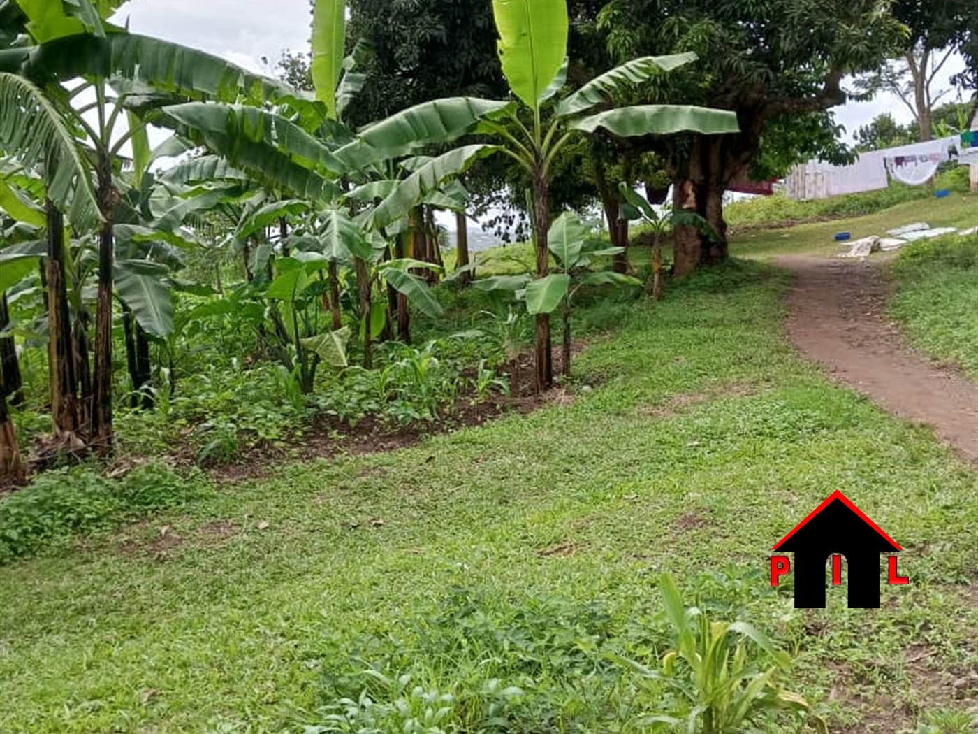 Agricultural Land for sale in Bombo Wakiso