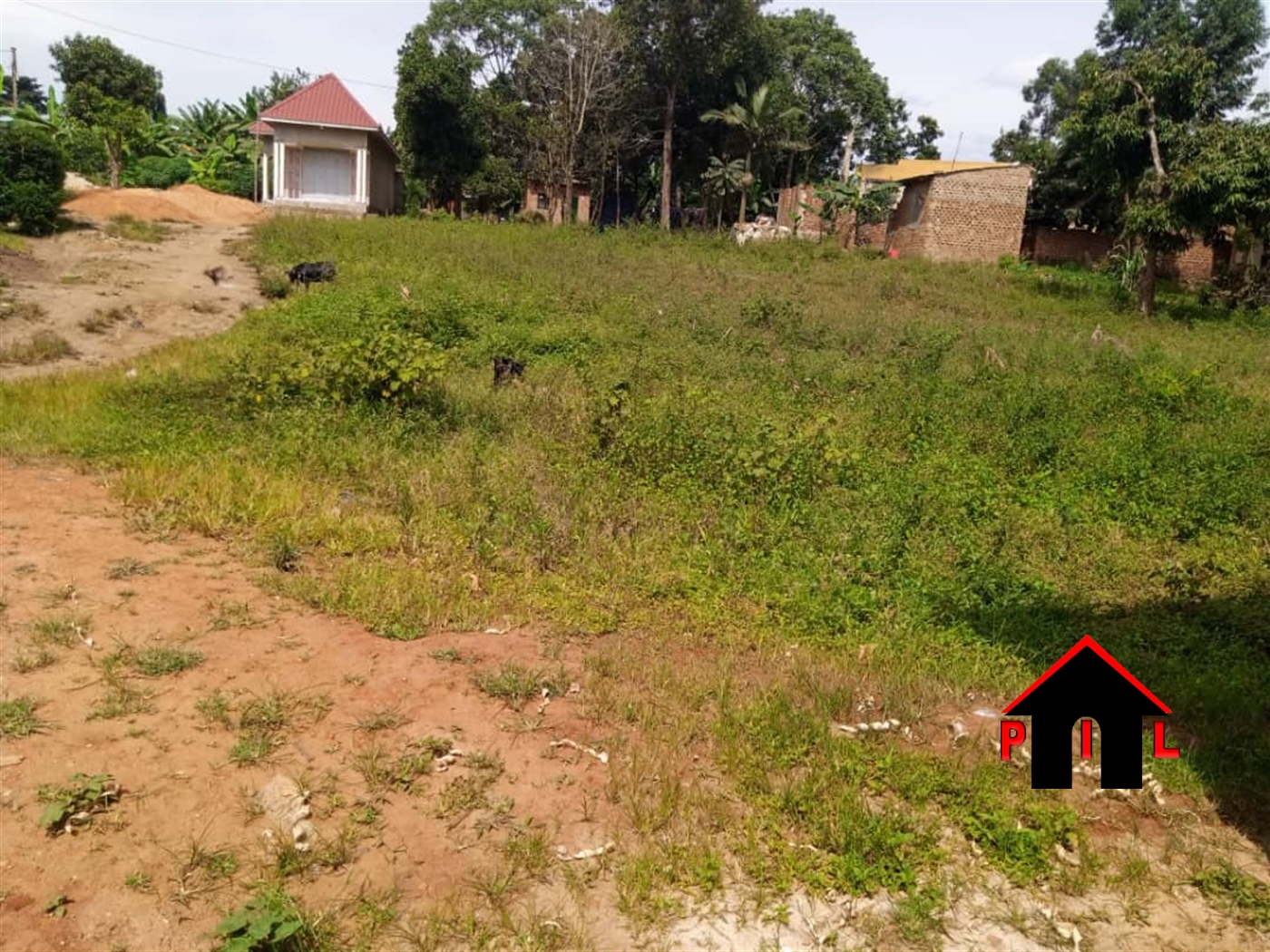 Residential Land for sale in Namulonge Wakiso