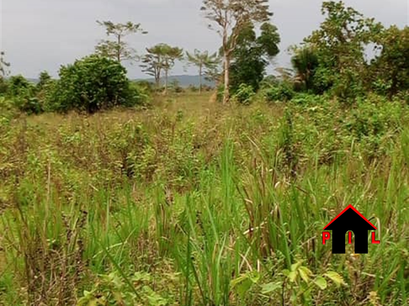 Agricultural Land for sale in Kasanjje Wakiso