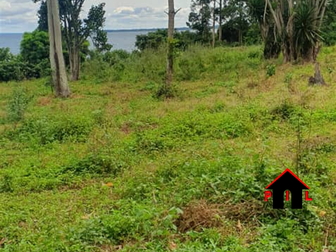 Agricultural Land for sale in Buwambo Mukono