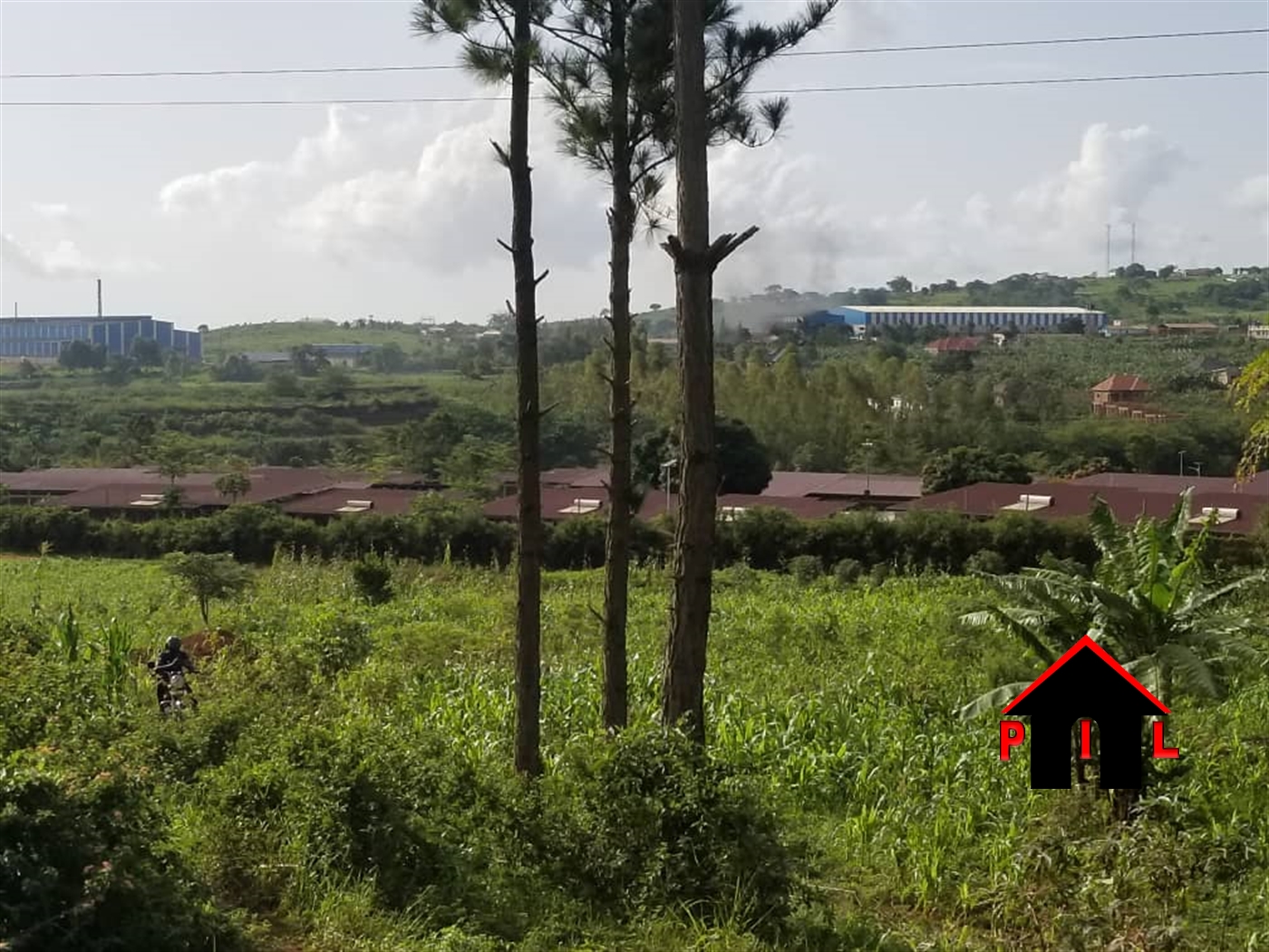 Agricultural Land for sale in Njeru Mukono