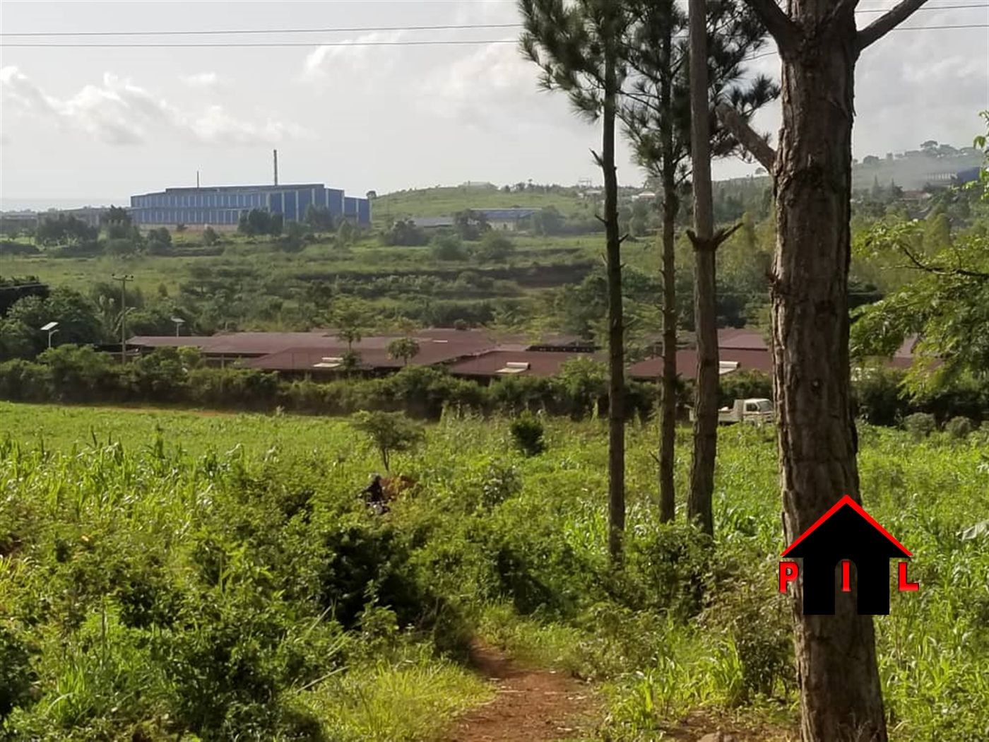 Agricultural Land for sale in Njeru Mukono