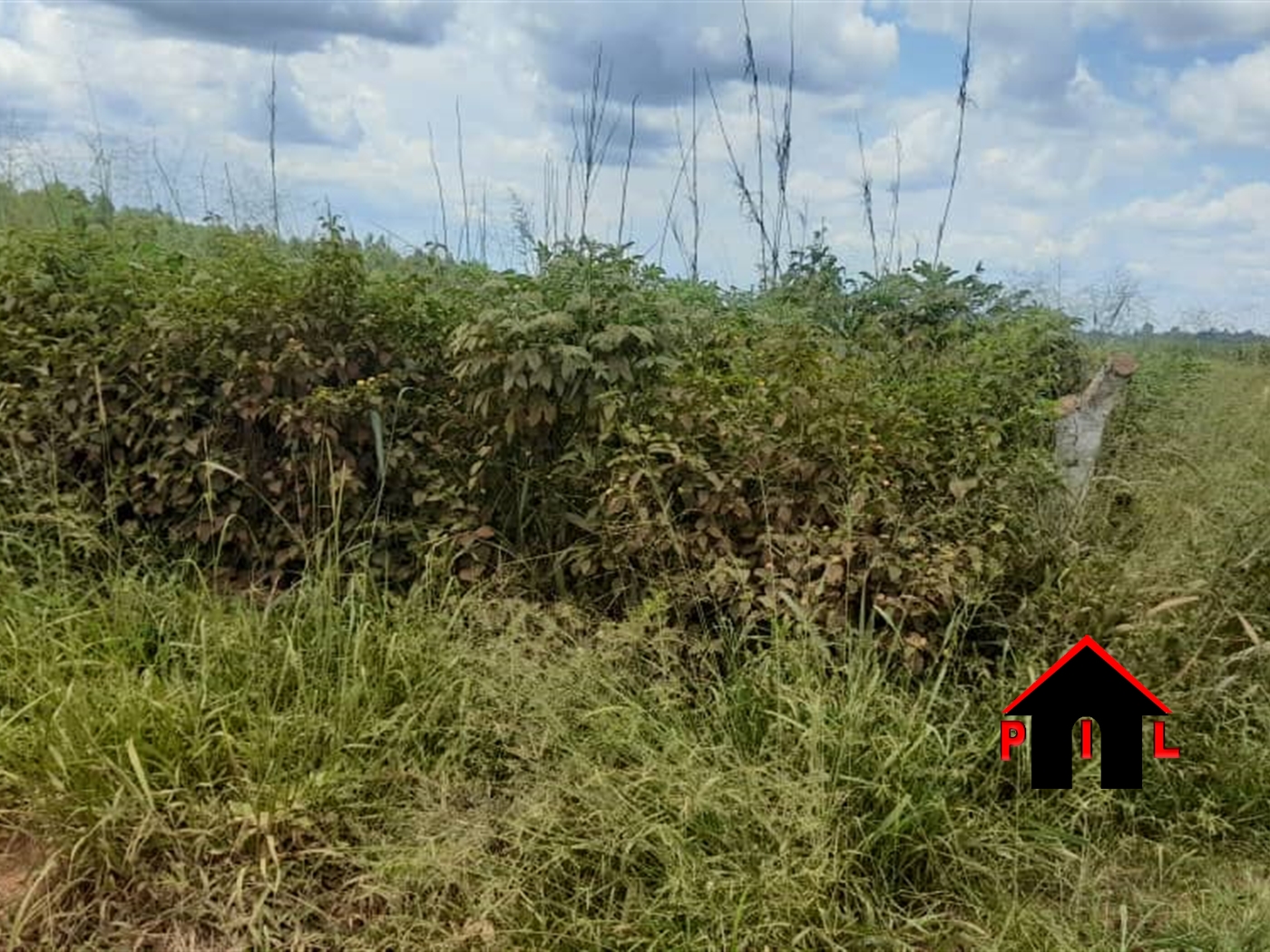 Agricultural Land for sale in Kiwoko Nakaseke