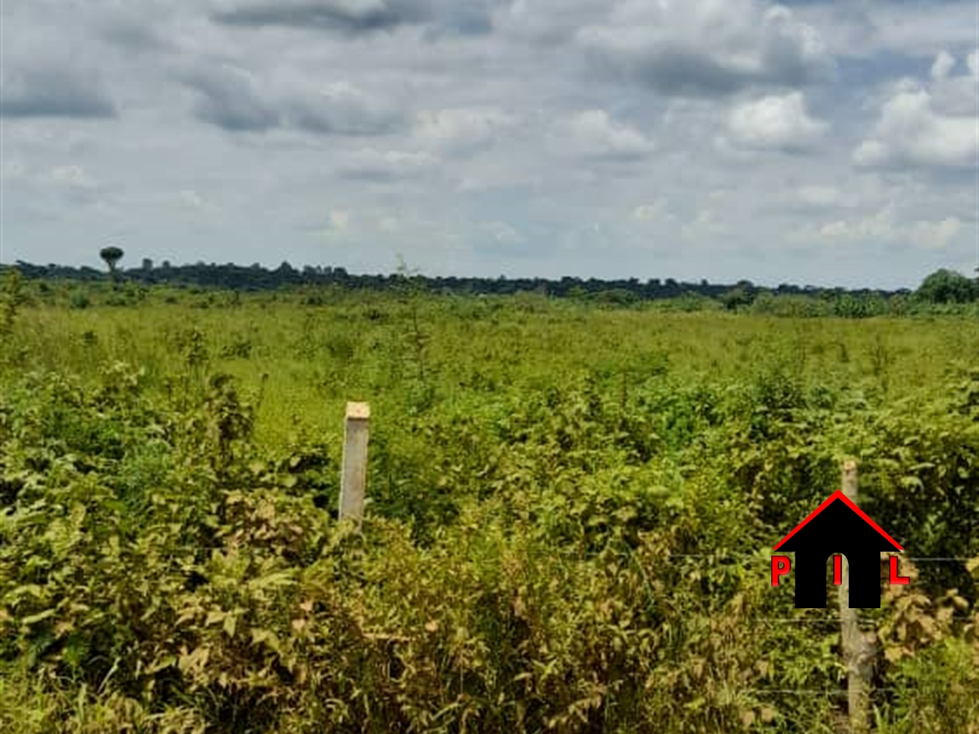 Agricultural Land for sale in Kiwoko Nakaseke