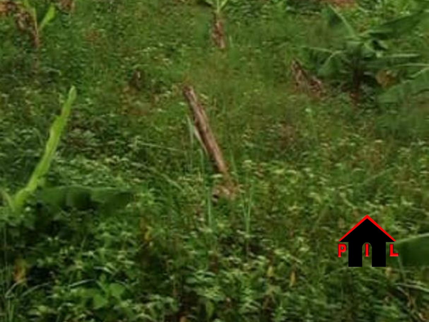 Agricultural Land for sale in Entebbe Wakiso