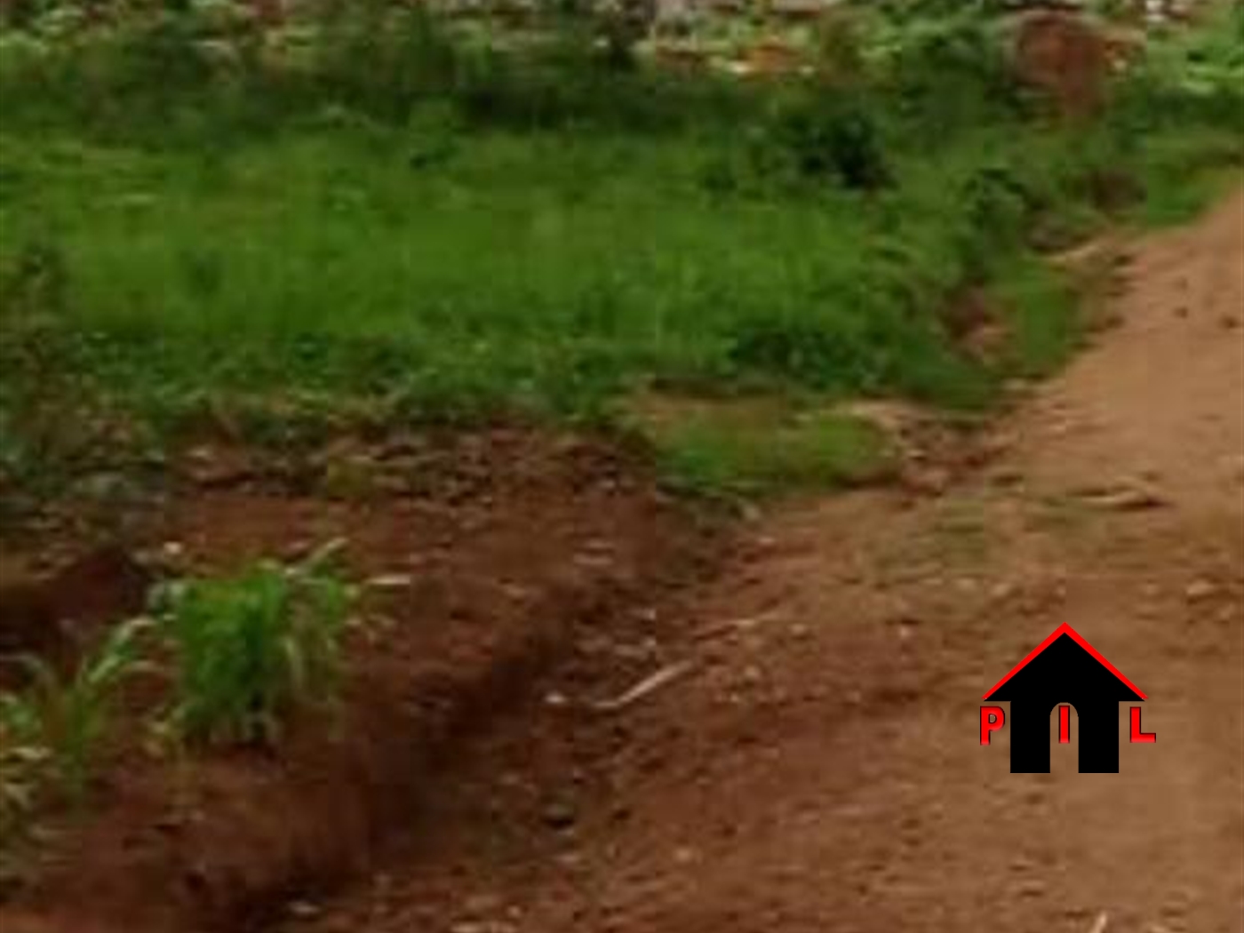 Agricultural Land for sale in Entebbe Wakiso