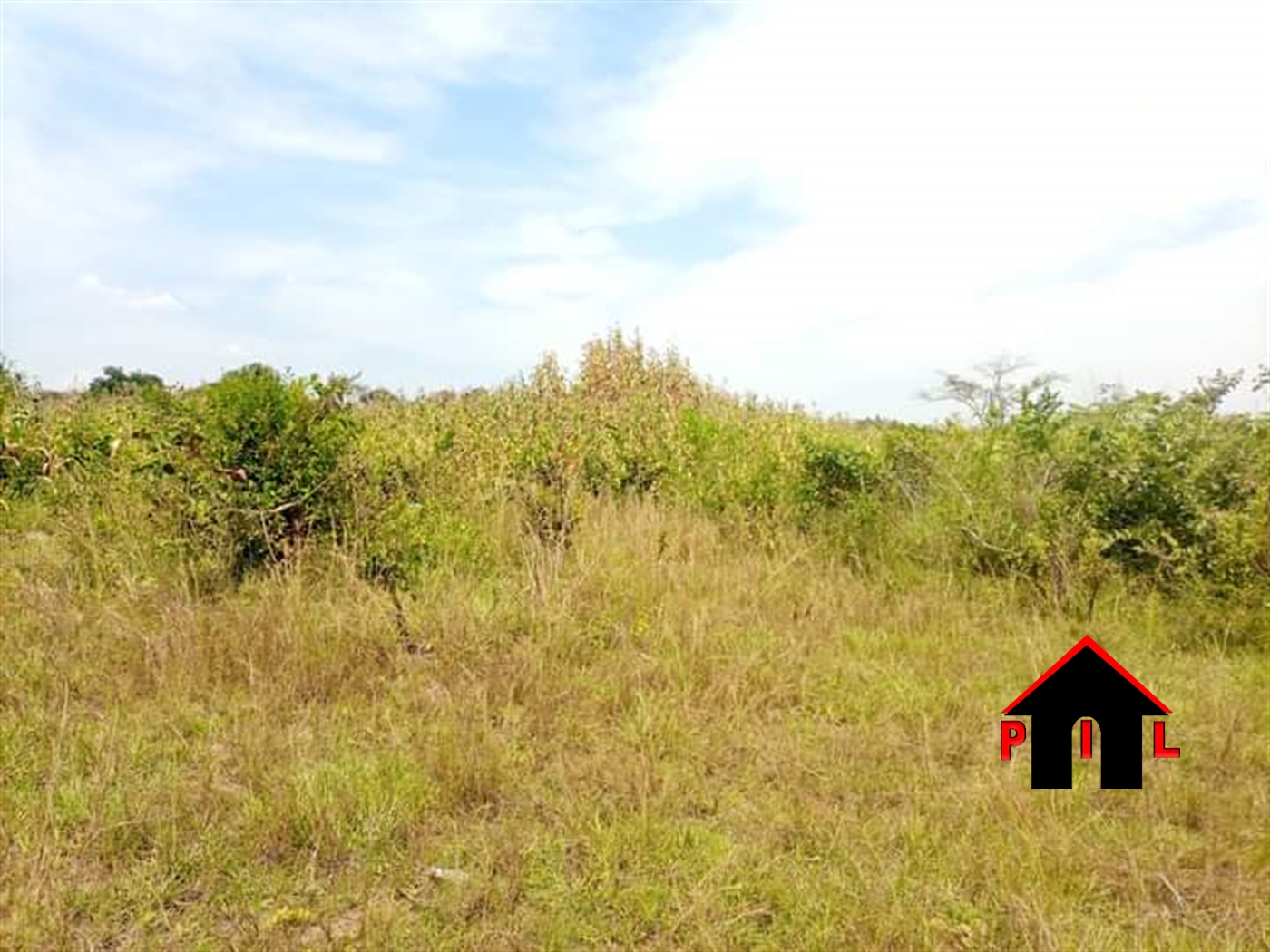 Agricultural Land for sale in Buyende Kamuli