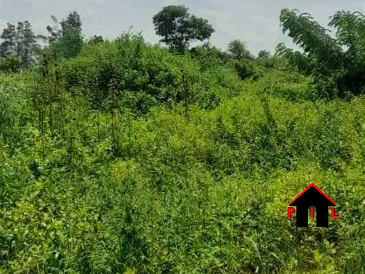 Agricultural Land for sale in Wakyato Nakaseke