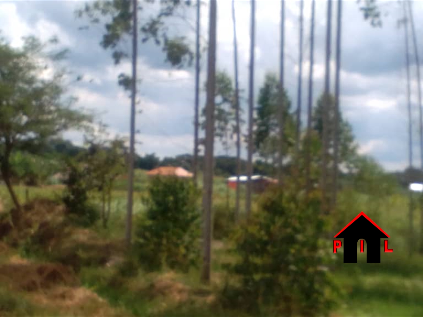 Agricultural Land for sale in Kakabala Luweero