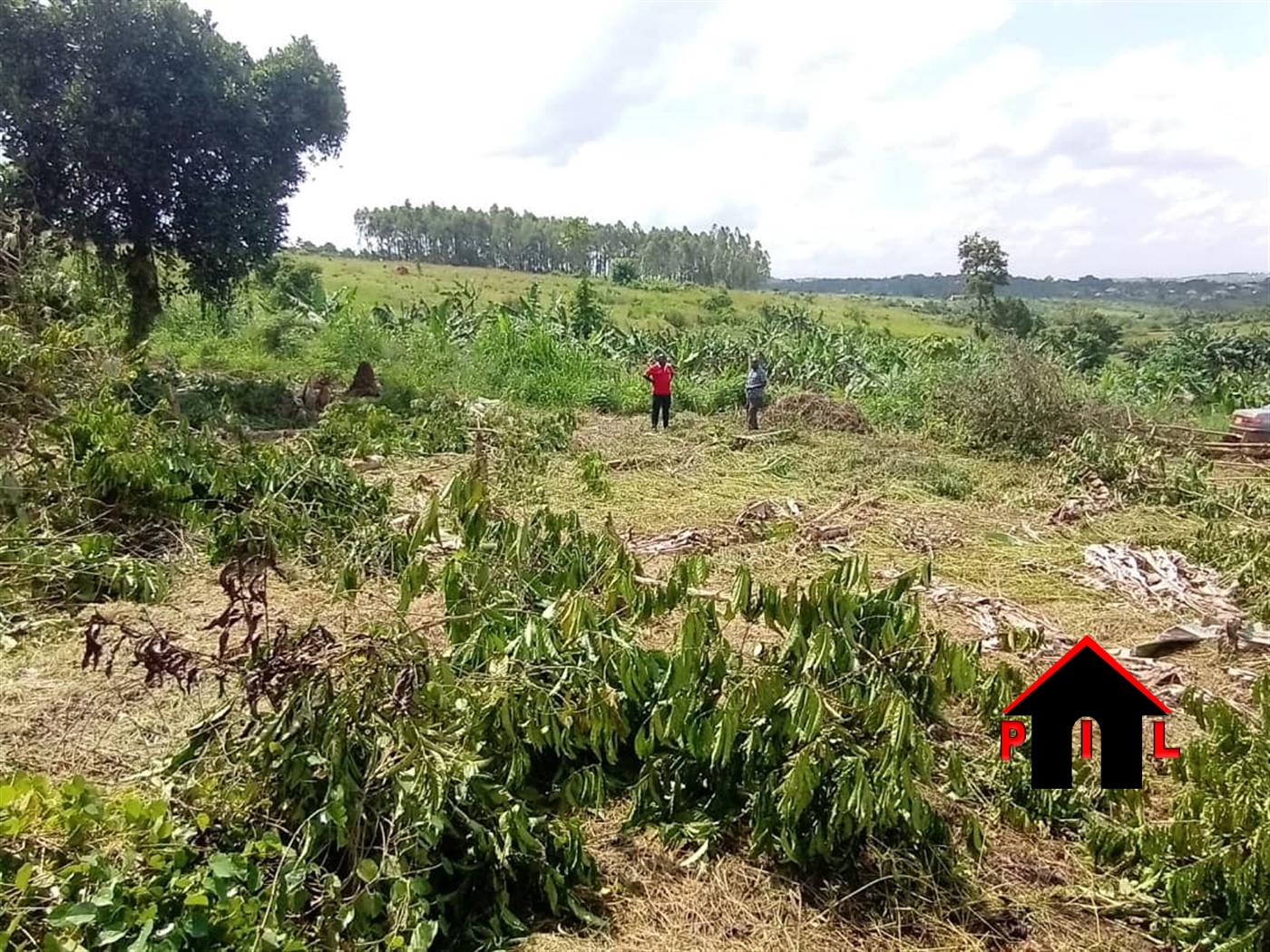 Residential Land for sale in Matugga Wakiso