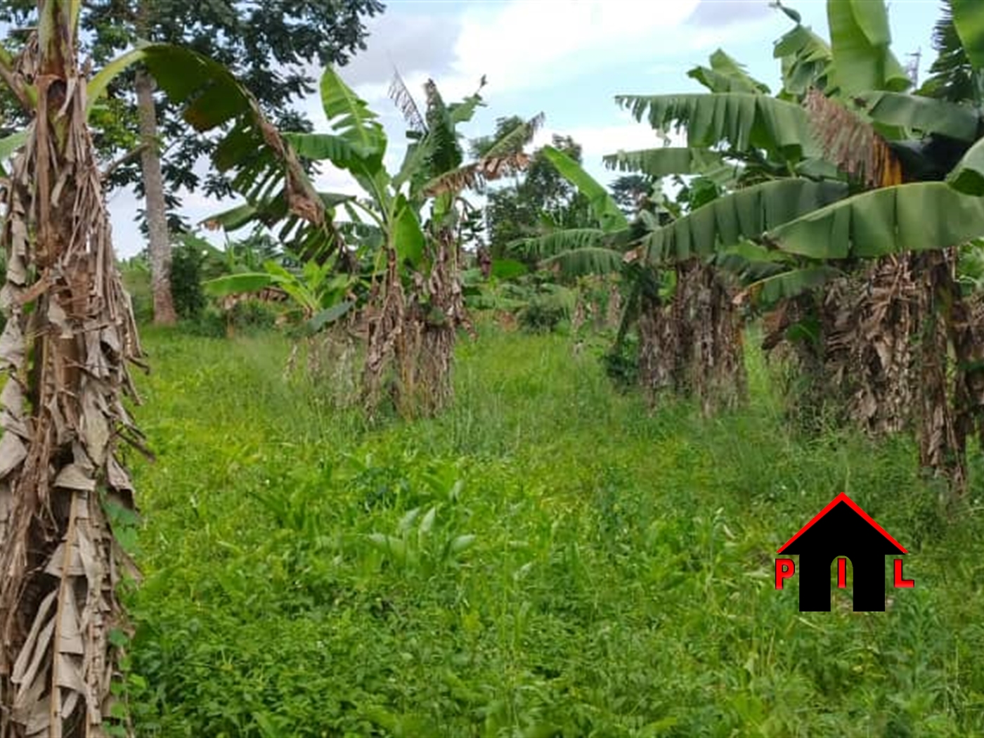 Residential Land for sale in Namugongo Wakiso