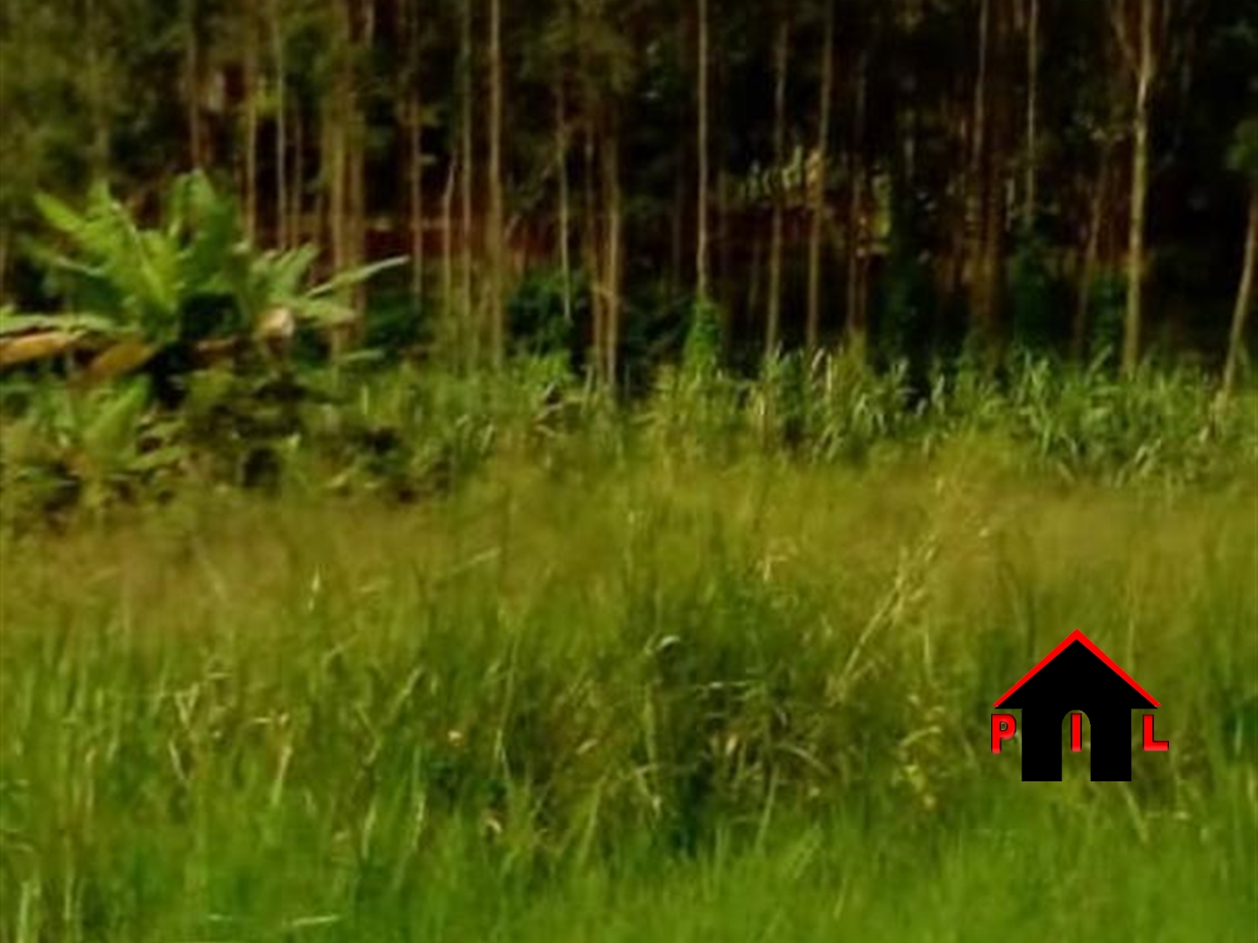 Agricultural Land for sale in Namugongo Wakiso