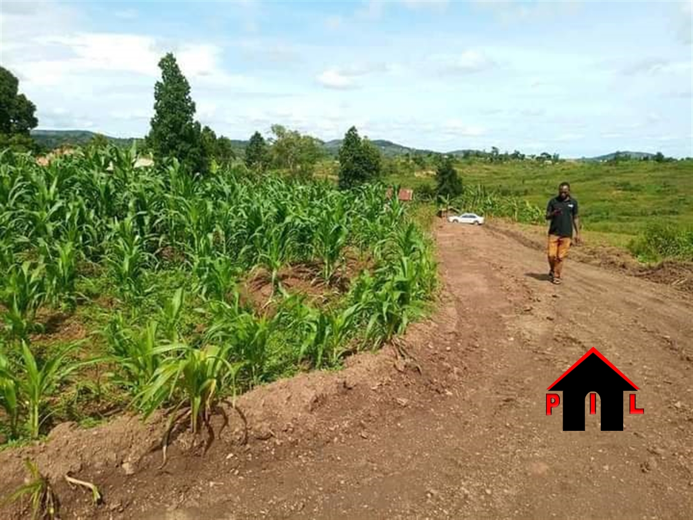 Agricultural Land for sale in Nakonge Nakaseke