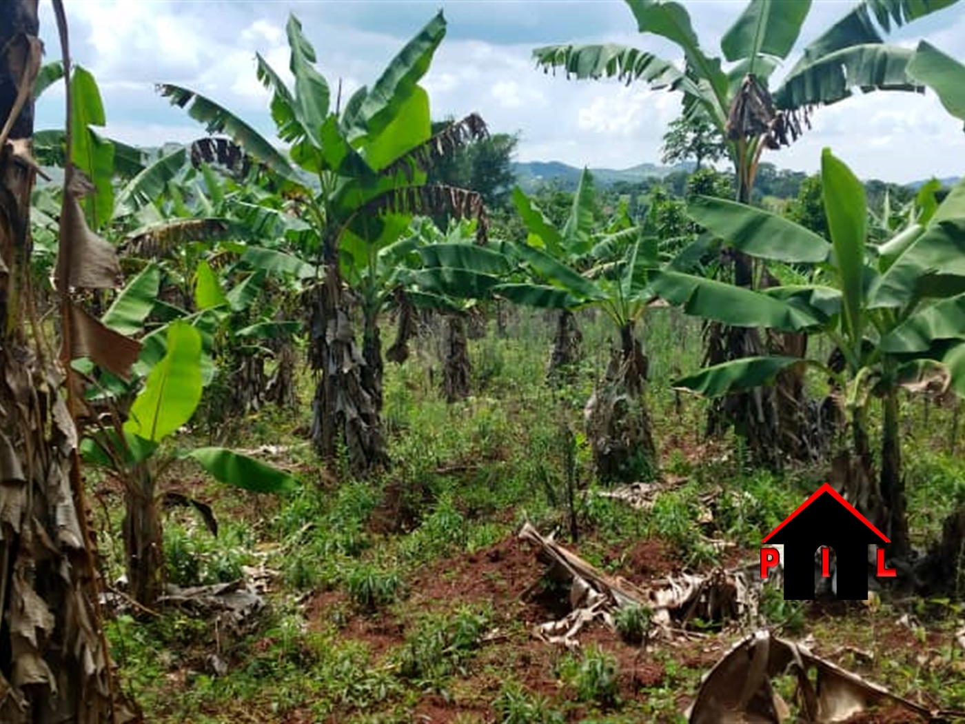 Residential Land for sale in Seeta Mukono