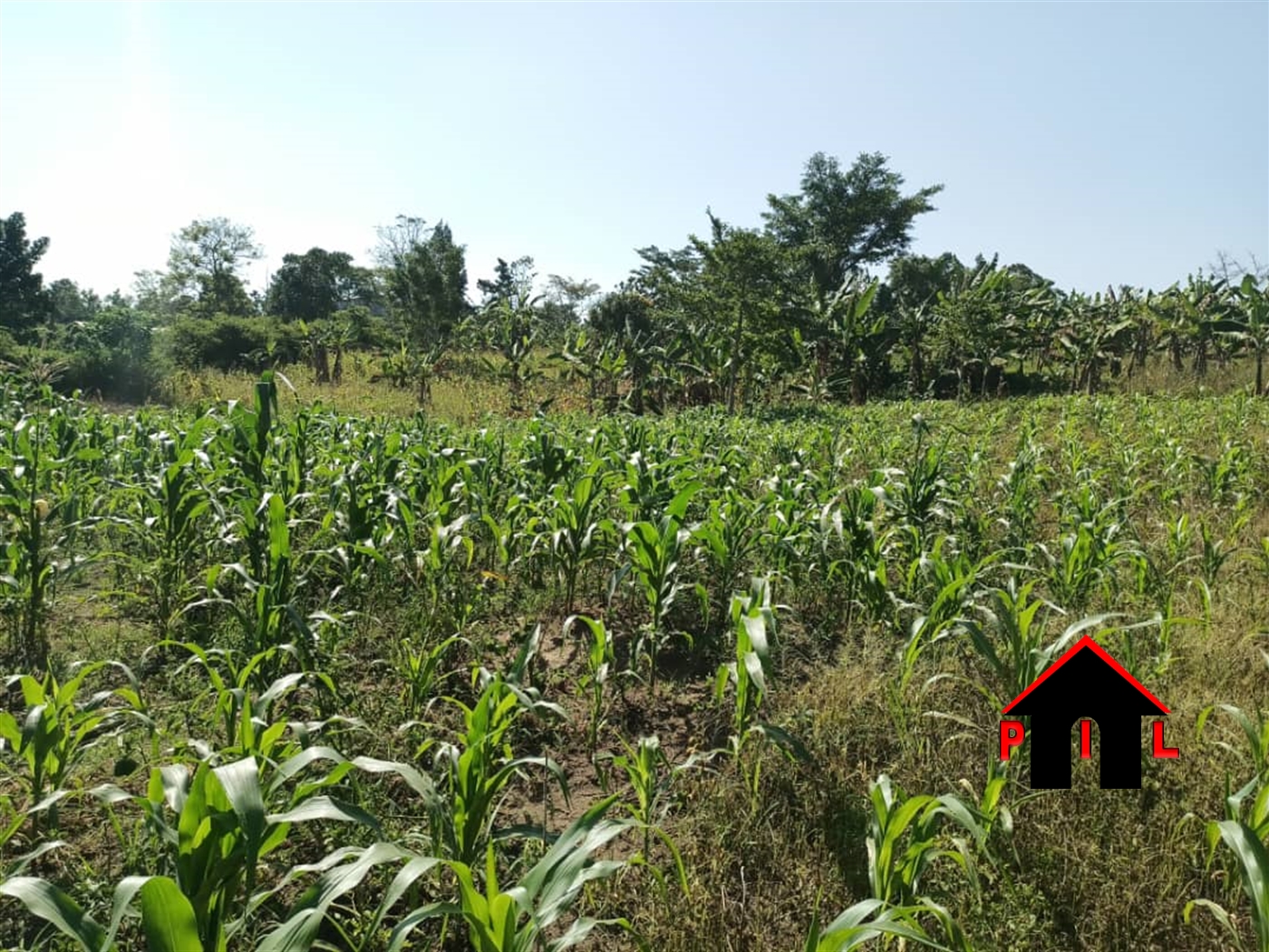 Agricultural Land for sale in Namayamba Wakiso