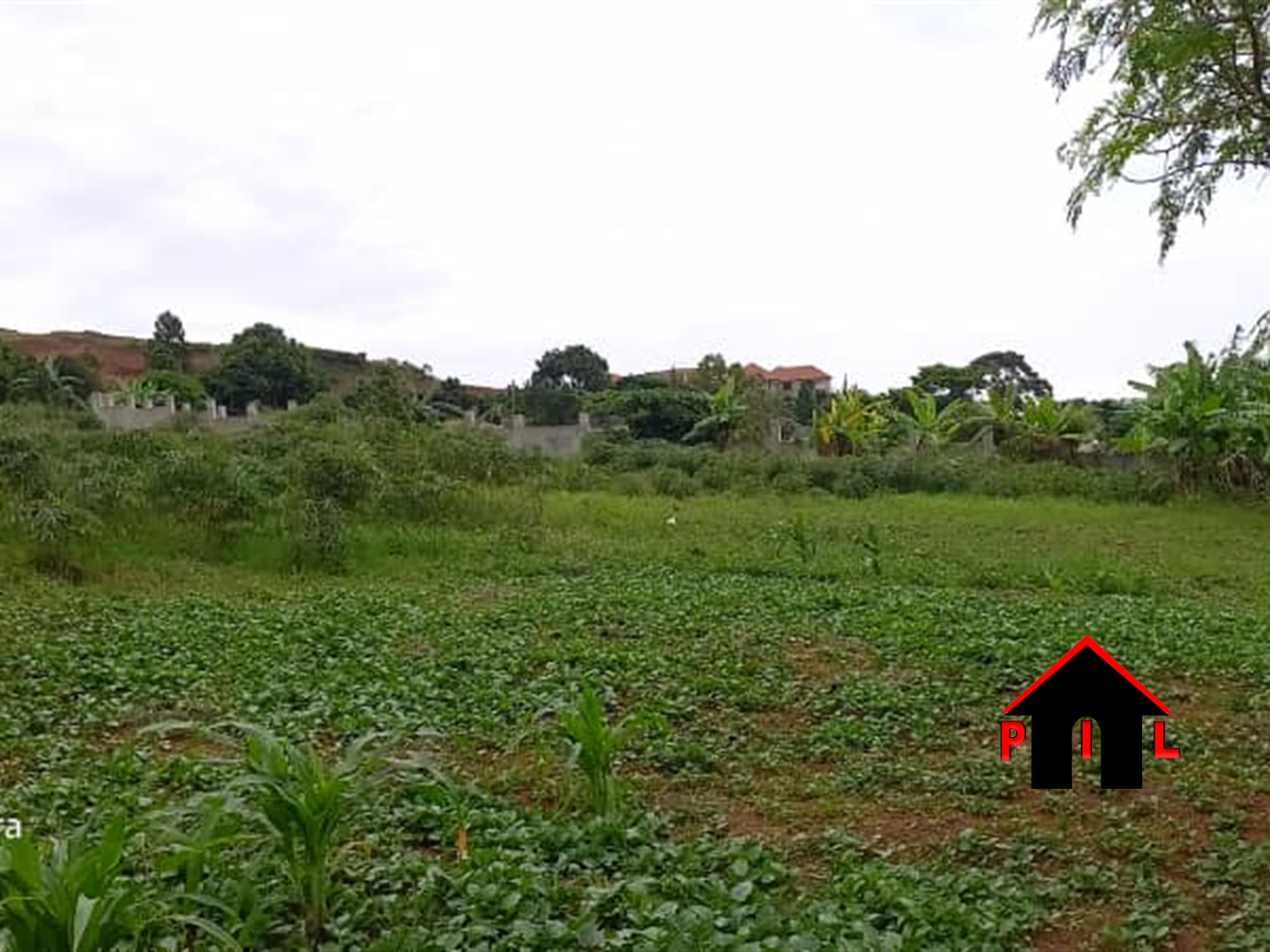 Residential Land for sale in Kigo Wakiso