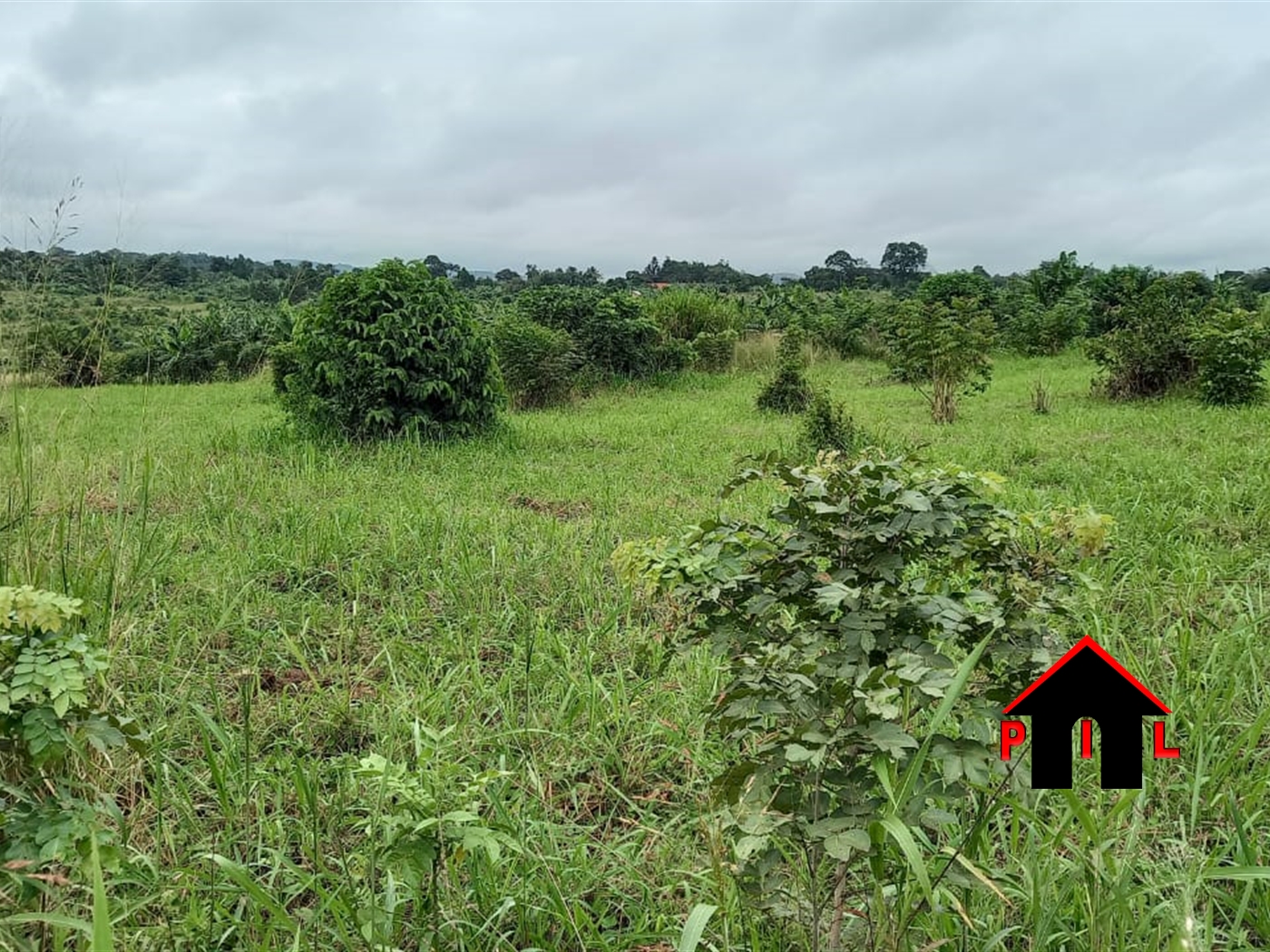 Agricultural Land for sale in Nakassajja Mukono