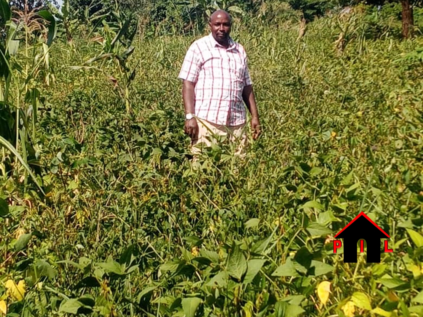 Agricultural Land for sale in Nakoosi Mukono