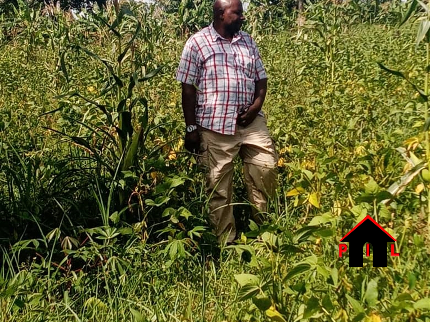 Agricultural Land for sale in Nakoosi Mukono