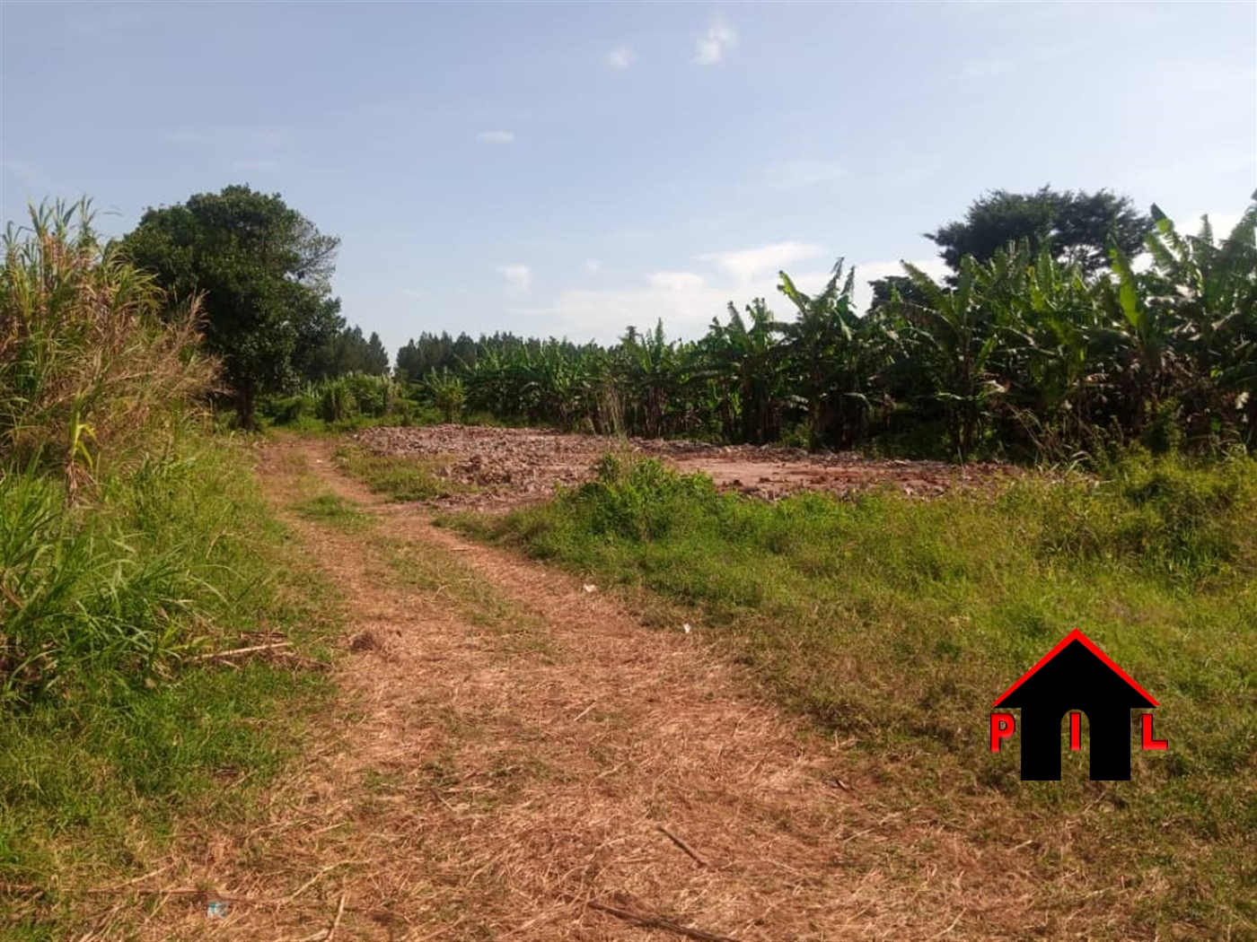 Commercial Land for sale in Namutumba Mbaale