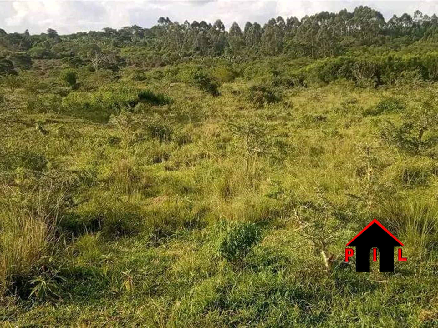 Agricultural Land for sale in Mateete Sembabule