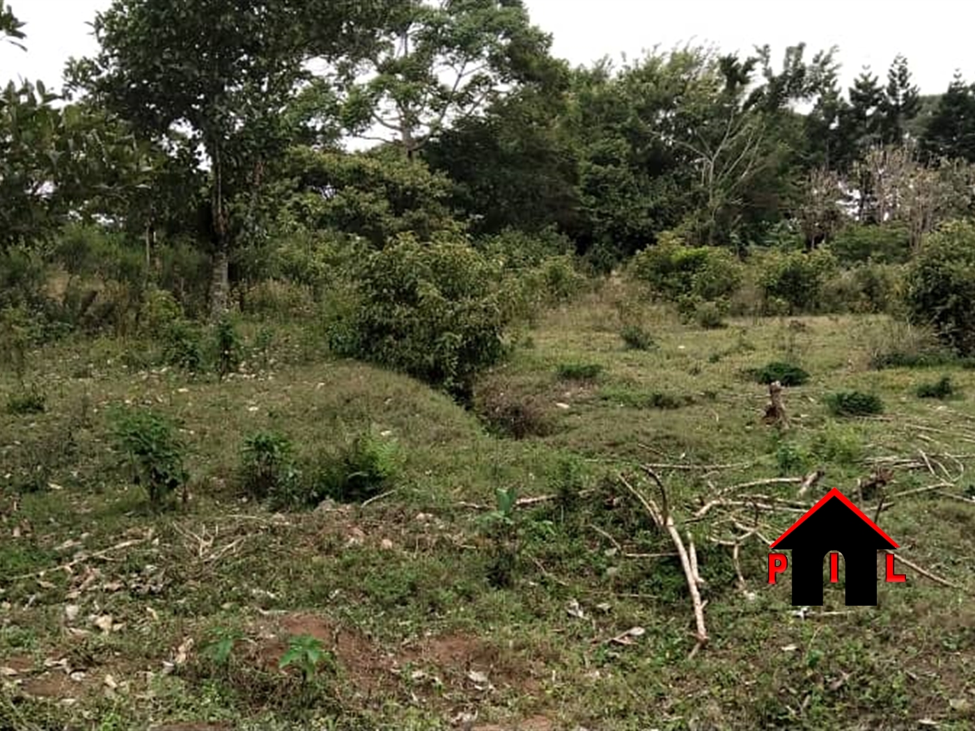 Residential Land for sale in Entebbe Wakiso