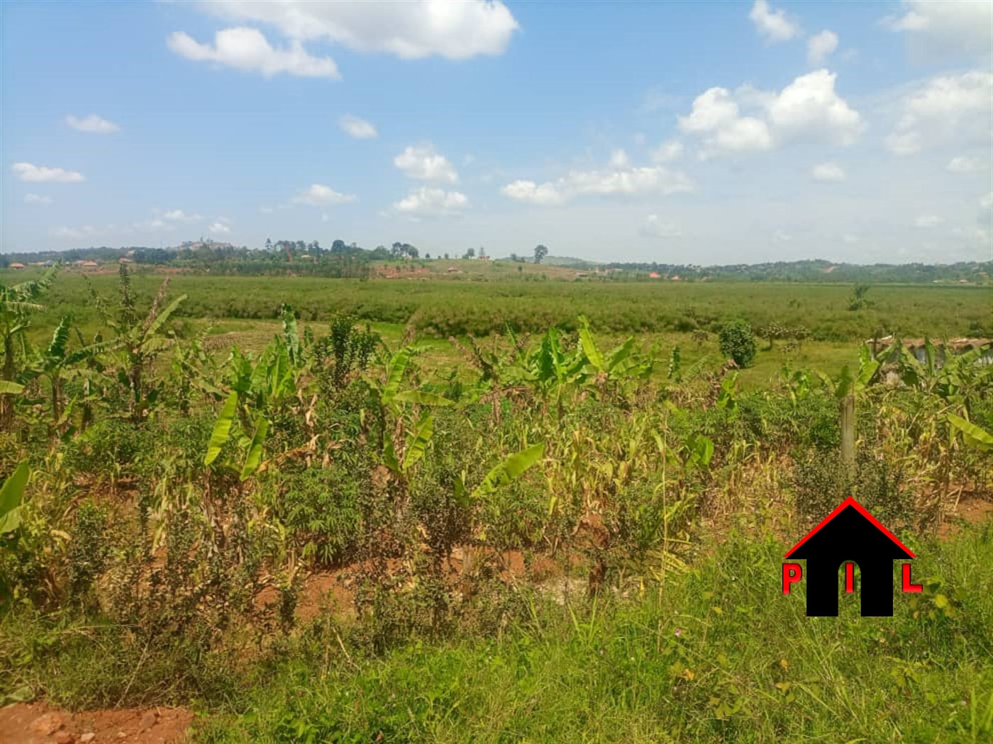 Agricultural Land for sale in Buloba Mityana