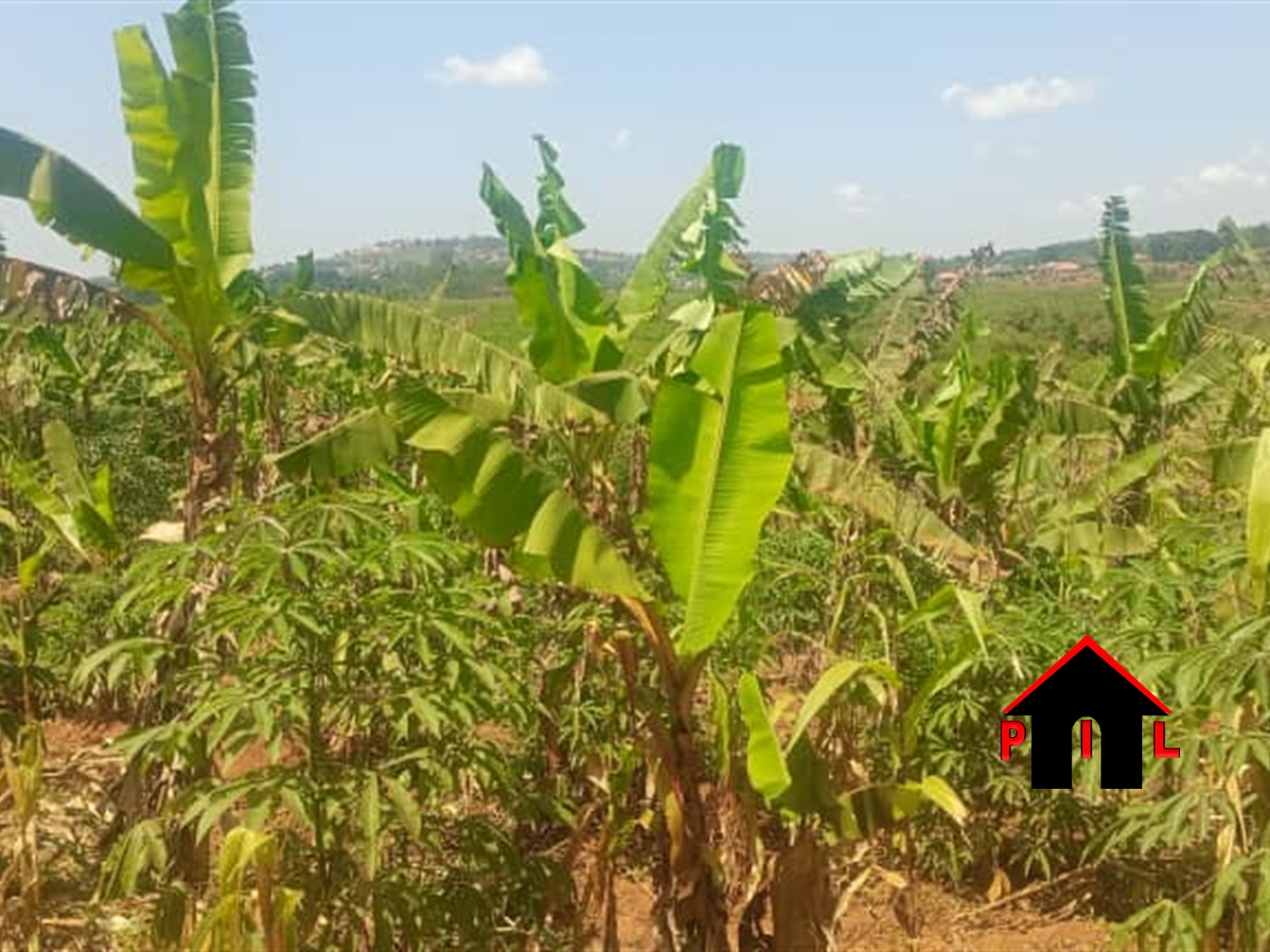 Agricultural Land for sale in Buloba Mityana