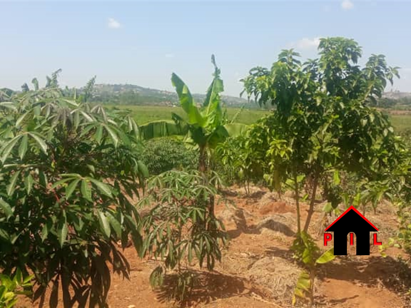 Agricultural Land for sale in Buloba Mityana